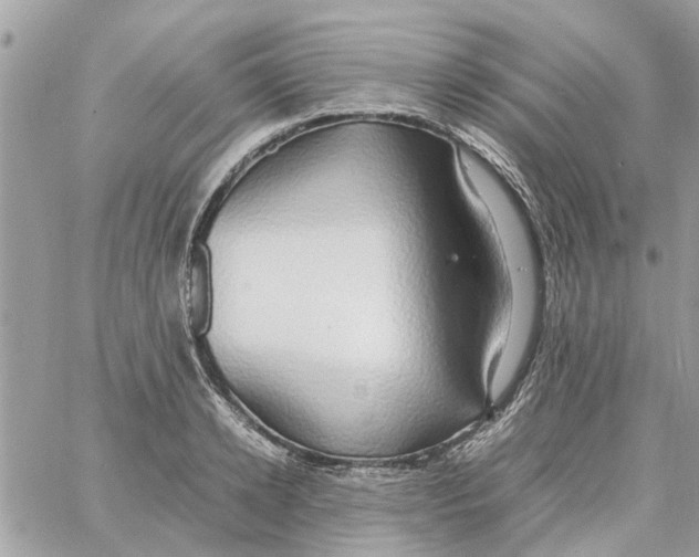 X0000058130942200510212042