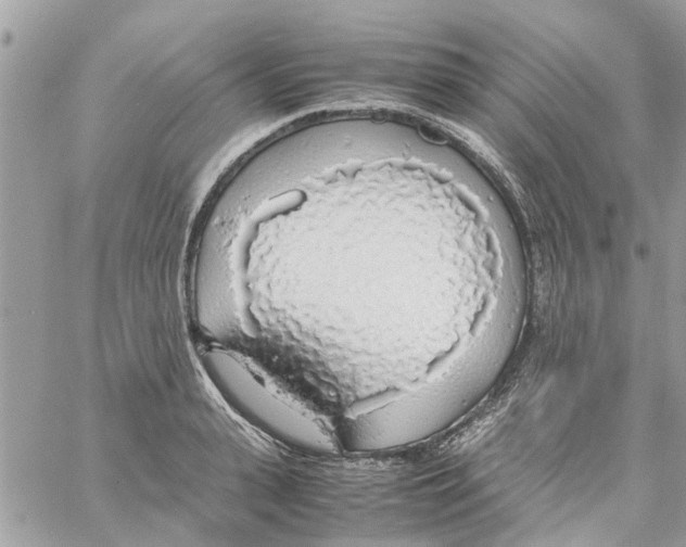 X0000058130943200510212042