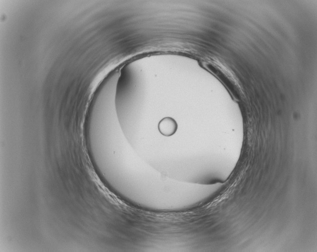 X0000058130944200510212042