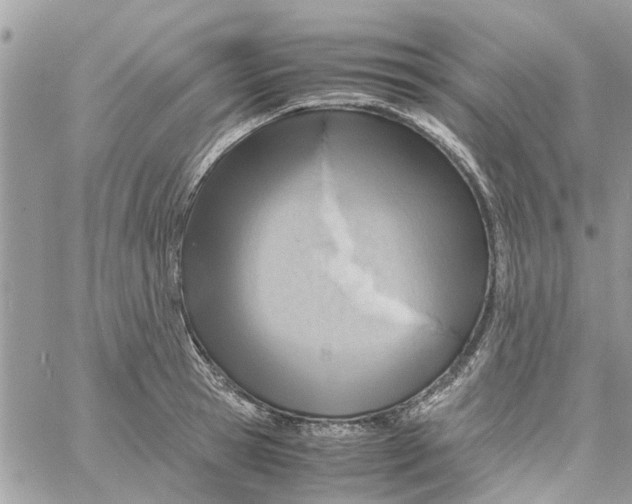 X0000058130945200510212042