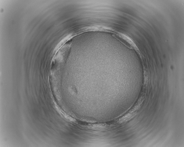 X0000058130946200510212042