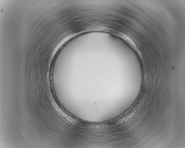 X0000058130947200510212042