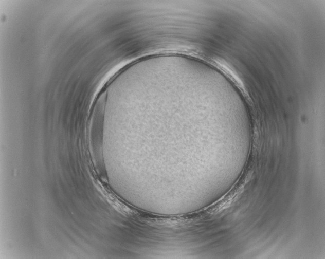 X0000058130948200510212042