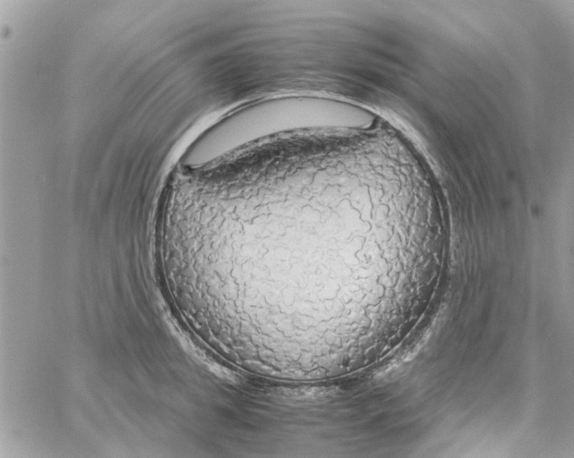 X0000058130949200510212042