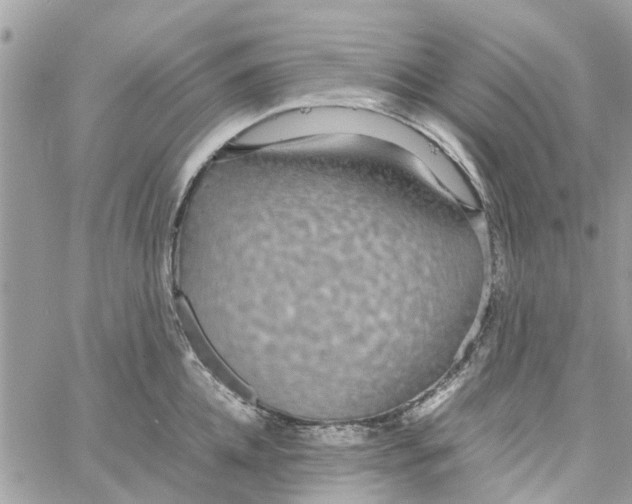 X0000058130952200510212042