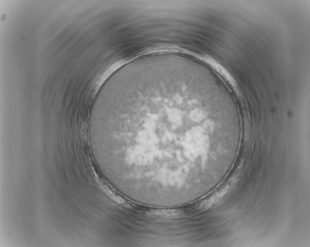 X0000058130953200510212042