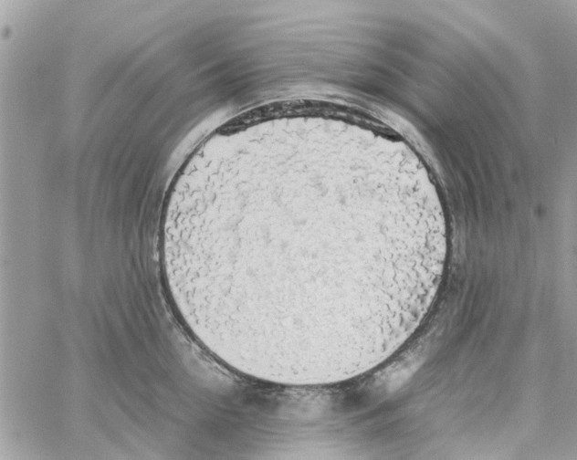 X0000058130954200510212042