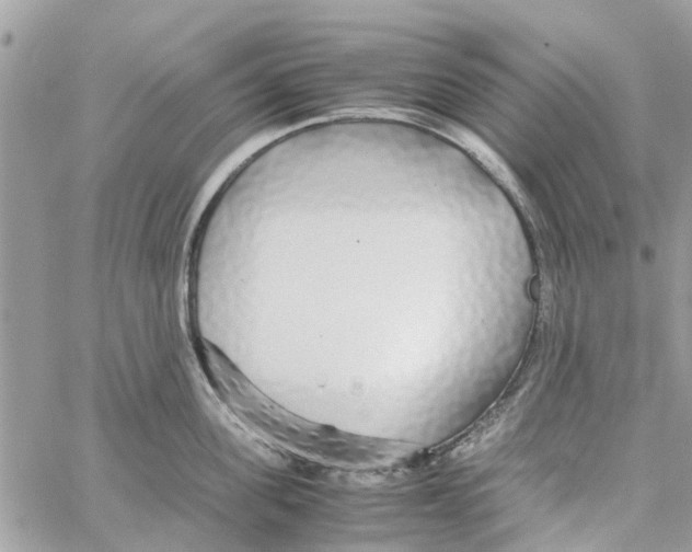 X0000058130955200510212042