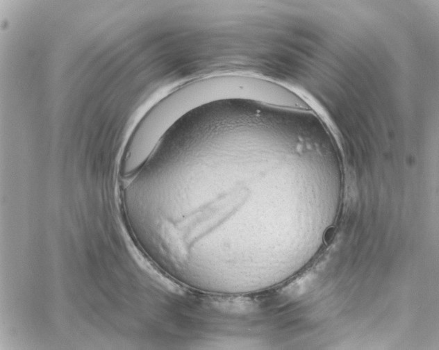 X0000058130957200510212042