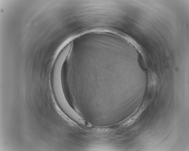 X0000058130958200510212042