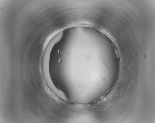 X0000058130960200510212042