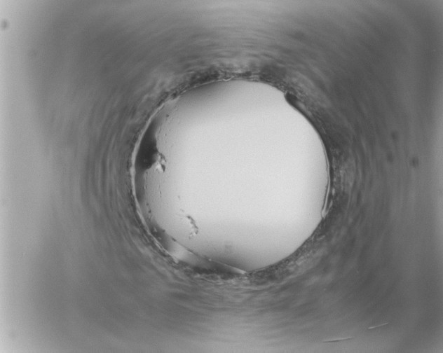 X0000058130961200510212042