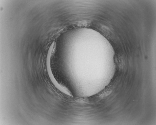 X0000058130962200510212042