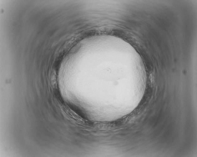 X0000058130963200510212041