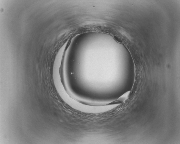 X0000058130965200510212041