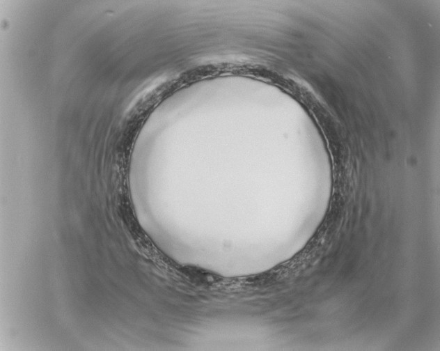 X0000058130967200510212041