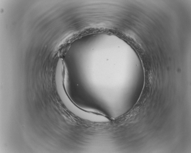 X0000058130968200510212041