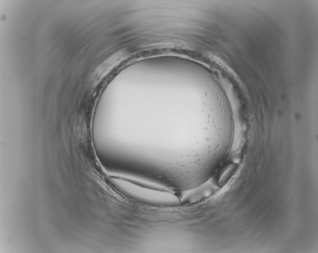 X0000058130969200510212041