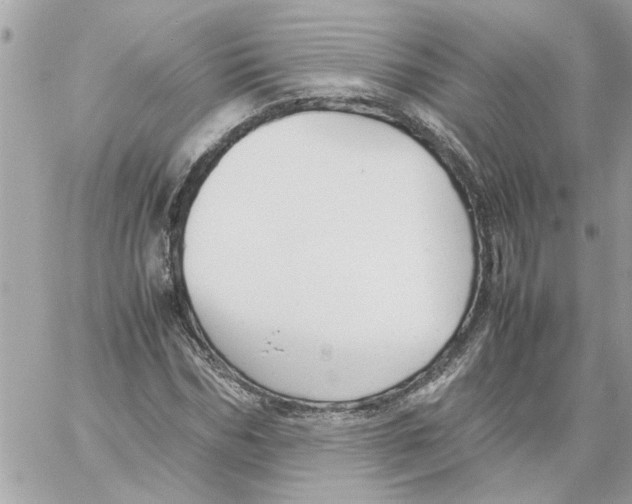 X0000058130970200510212041