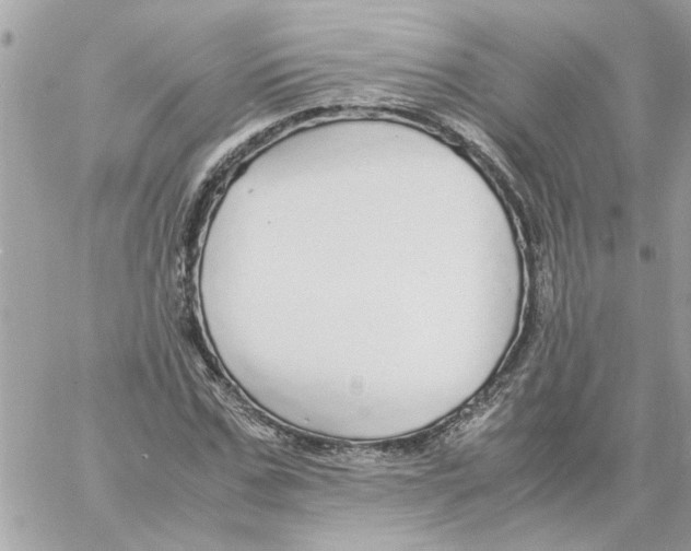 X0000058130971200510212041