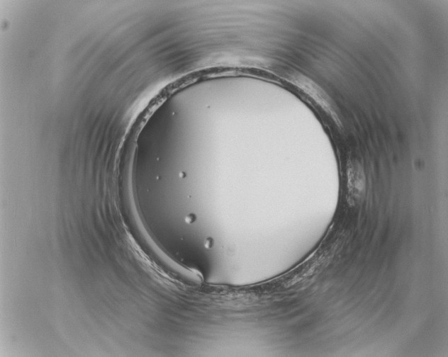 X0000058130972200510212041