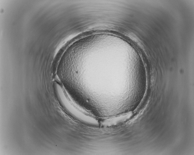 X0000058130973200510212041