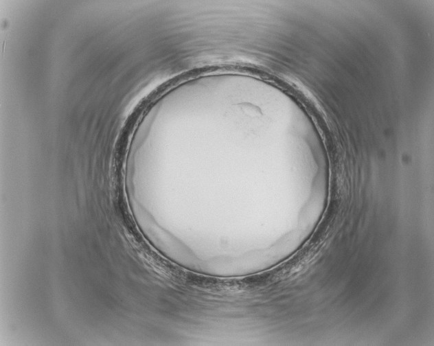 X0000058130975200510212041