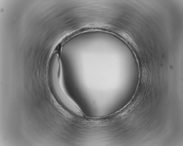 X0000058130976200510212041