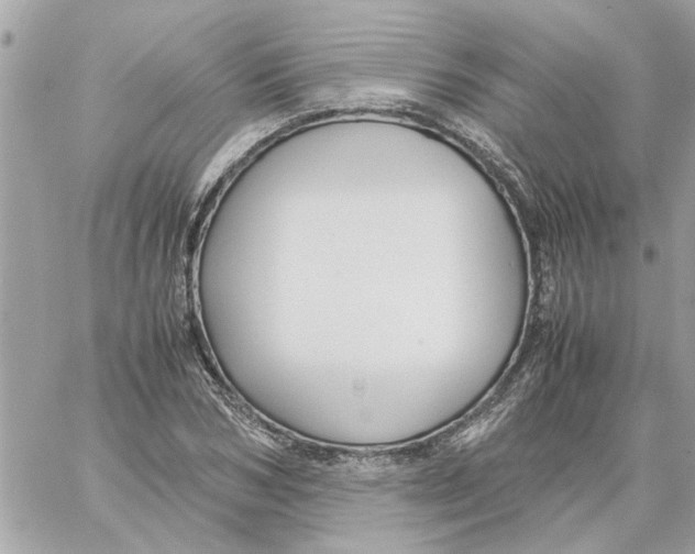 X0000058130978200510212041