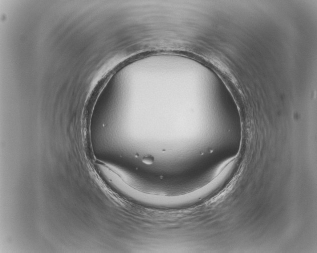 X0000058130981200510212041