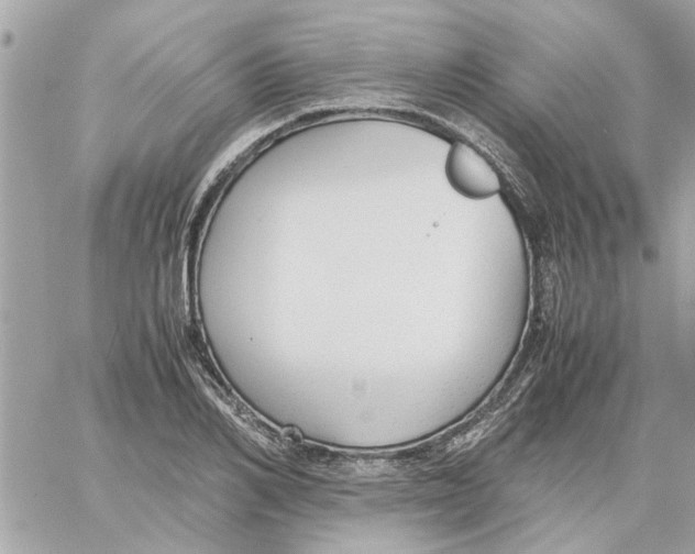 X0000058130982200510212041