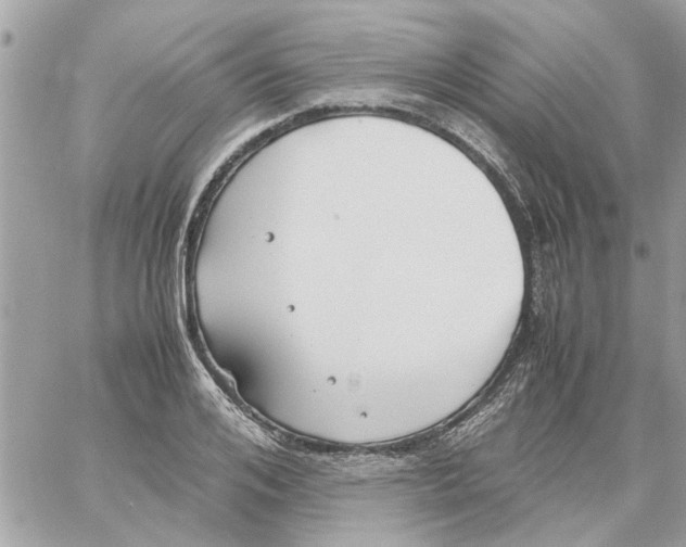 X0000058130984200510212041