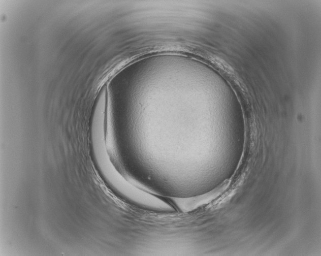 X0000058130985200510212041