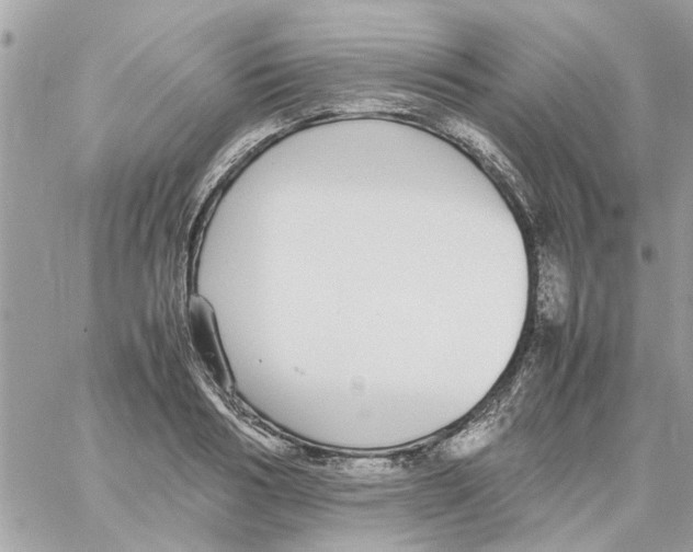 X0000058130986200510212041