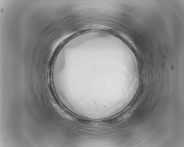 X0000058130987200510212041