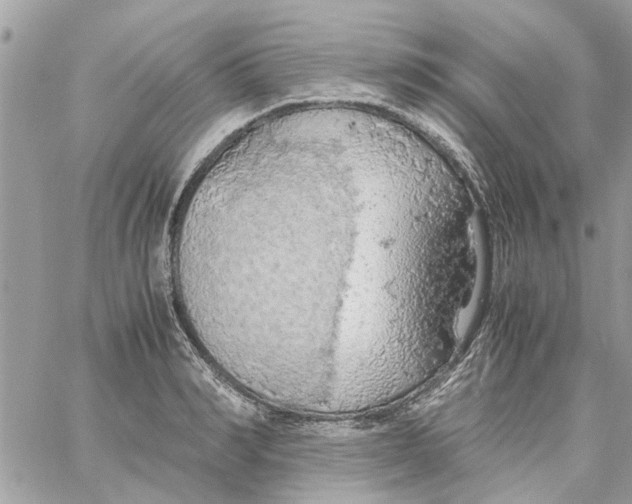 X0000058130990200510212041