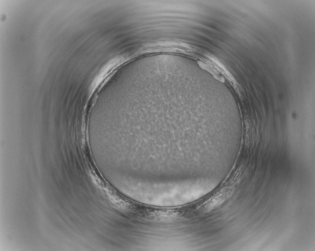 X0000058130994200510212041