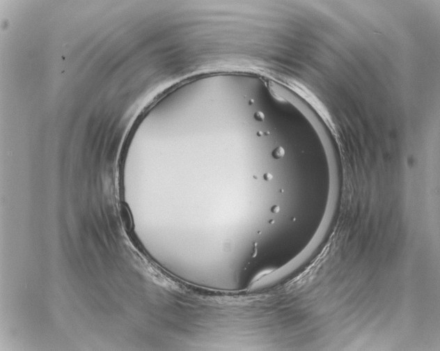 X0000058130996200510212041