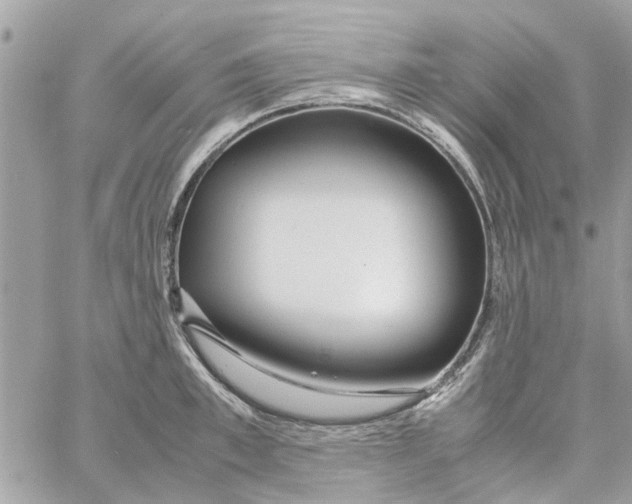 X0000058130997200510212041