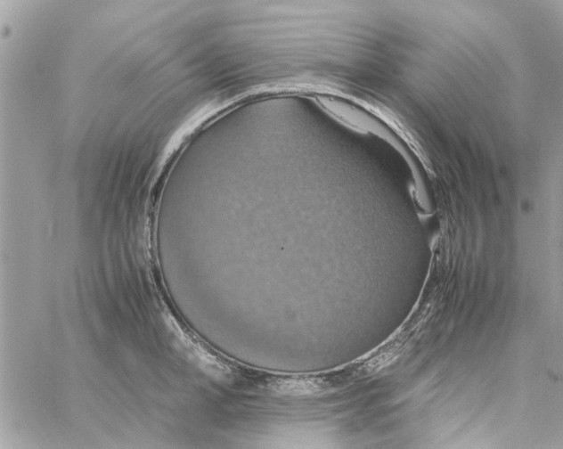 X0000058130998200510212041