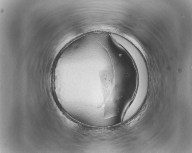 X0000058130999200510212041