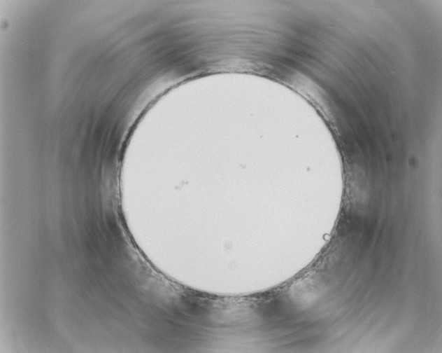 X0000058131000200510212041