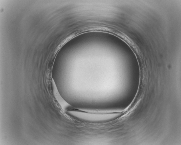 X0000058131001200510212041