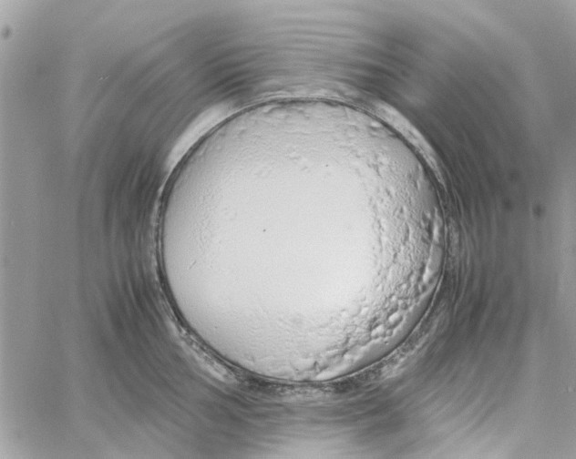 X0000058131002200510212041