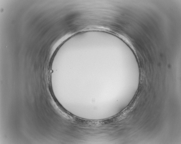 X0000058131003200510212041