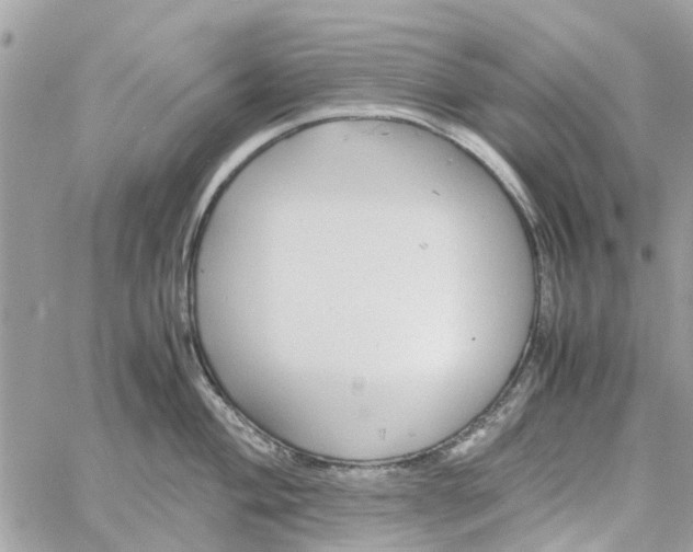 X0000058131004200510212041