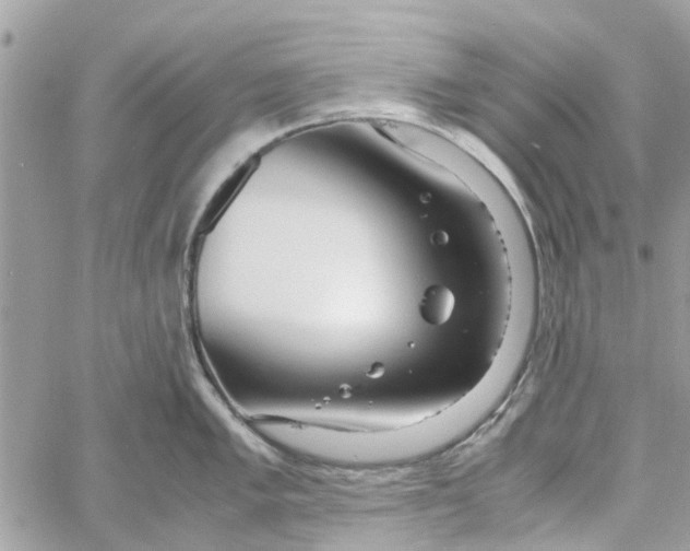 X0000058131005200510212041