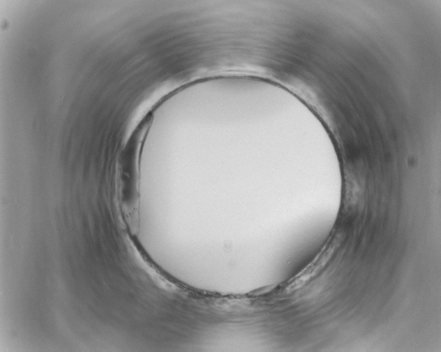 X0000058131006200510212041