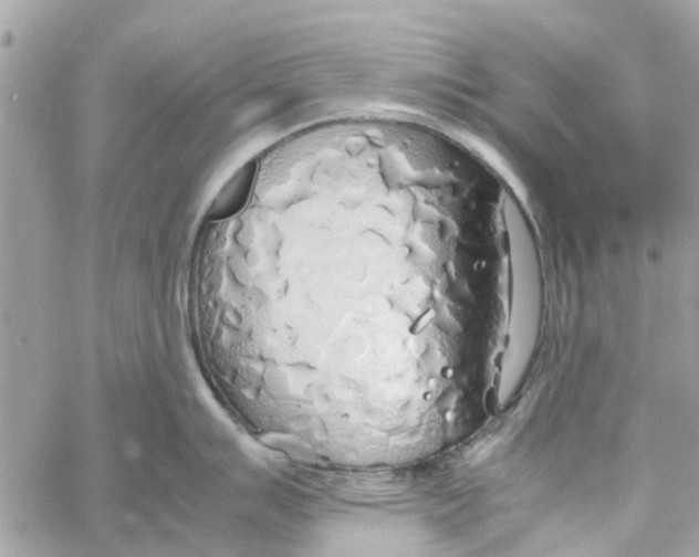 X0000058131007200510212041