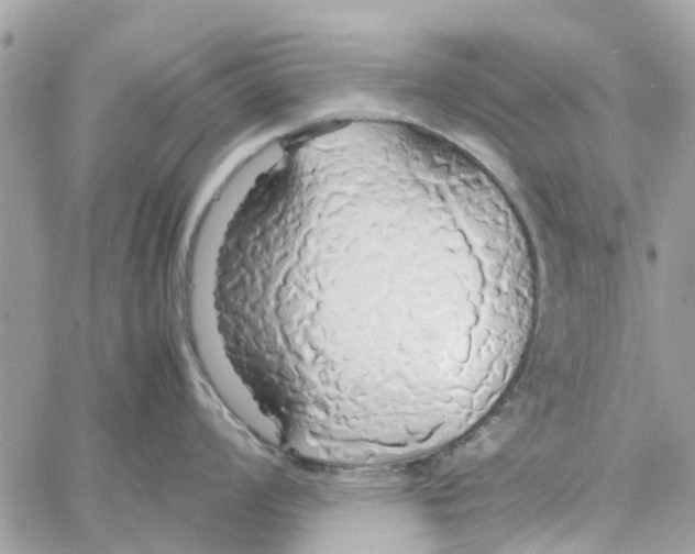 X0000058131008200510212041